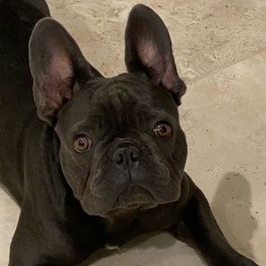 Meet your Posher, Melaine